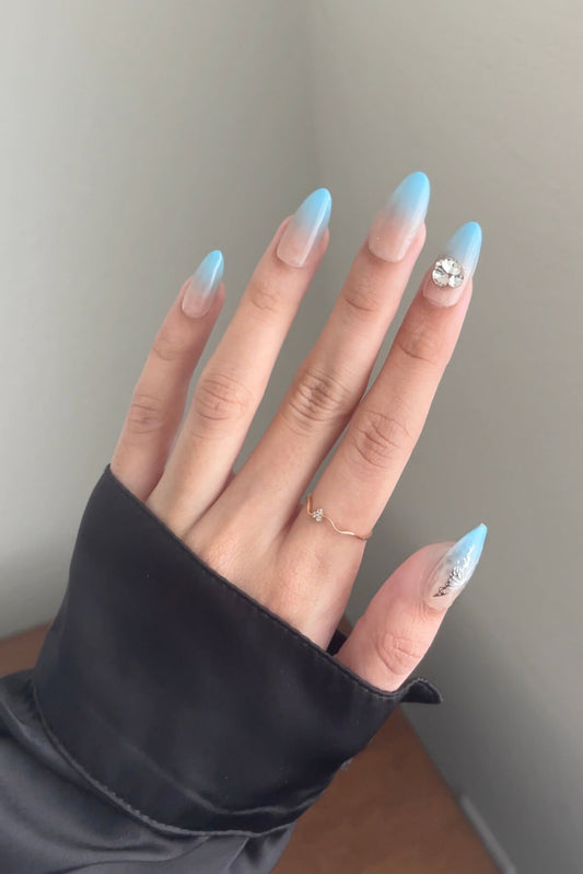 Winter Press on Nail Kit